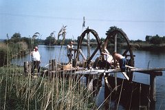 Waterwheel Assembly (1)